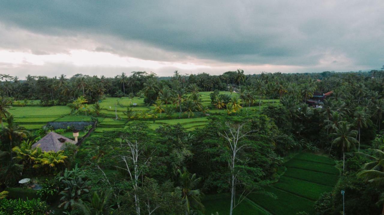 River Sakti Ubud By Prasi Exterior foto